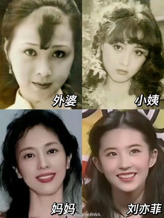  刘亦菲 